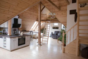 art-house 3 attic apartment with terrace Decin